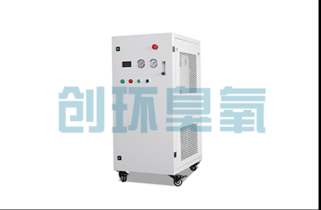 那曲工厂化养鲈必看:2026年臭氧发生器替代传统消毒的最新方案