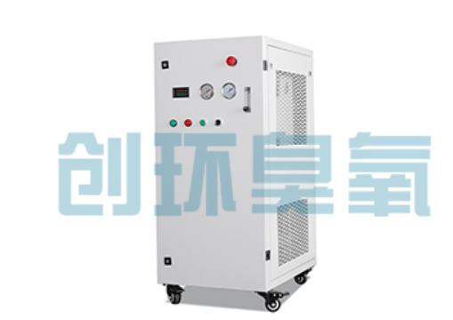 那曲石斑鱼养殖水质调控完整指南：臭氧发生器配置与操作步骤